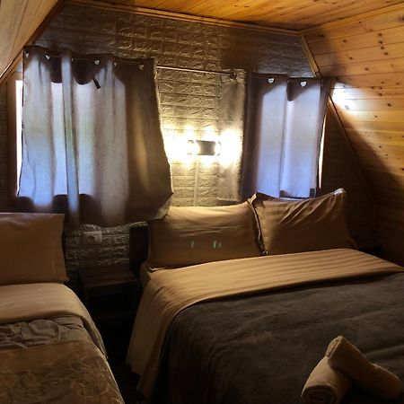 Bujtina Pllumi Theth Bed & Breakfast エクステリア 写真