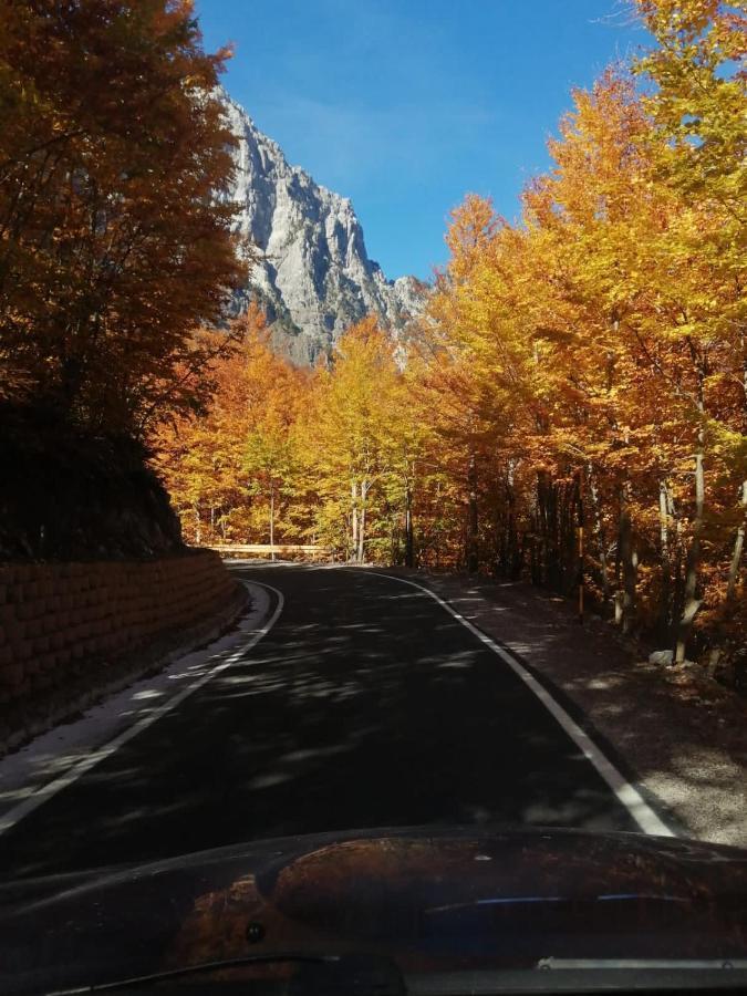 Bujtina Pllumi Theth Bed & Breakfast エクステリア 写真