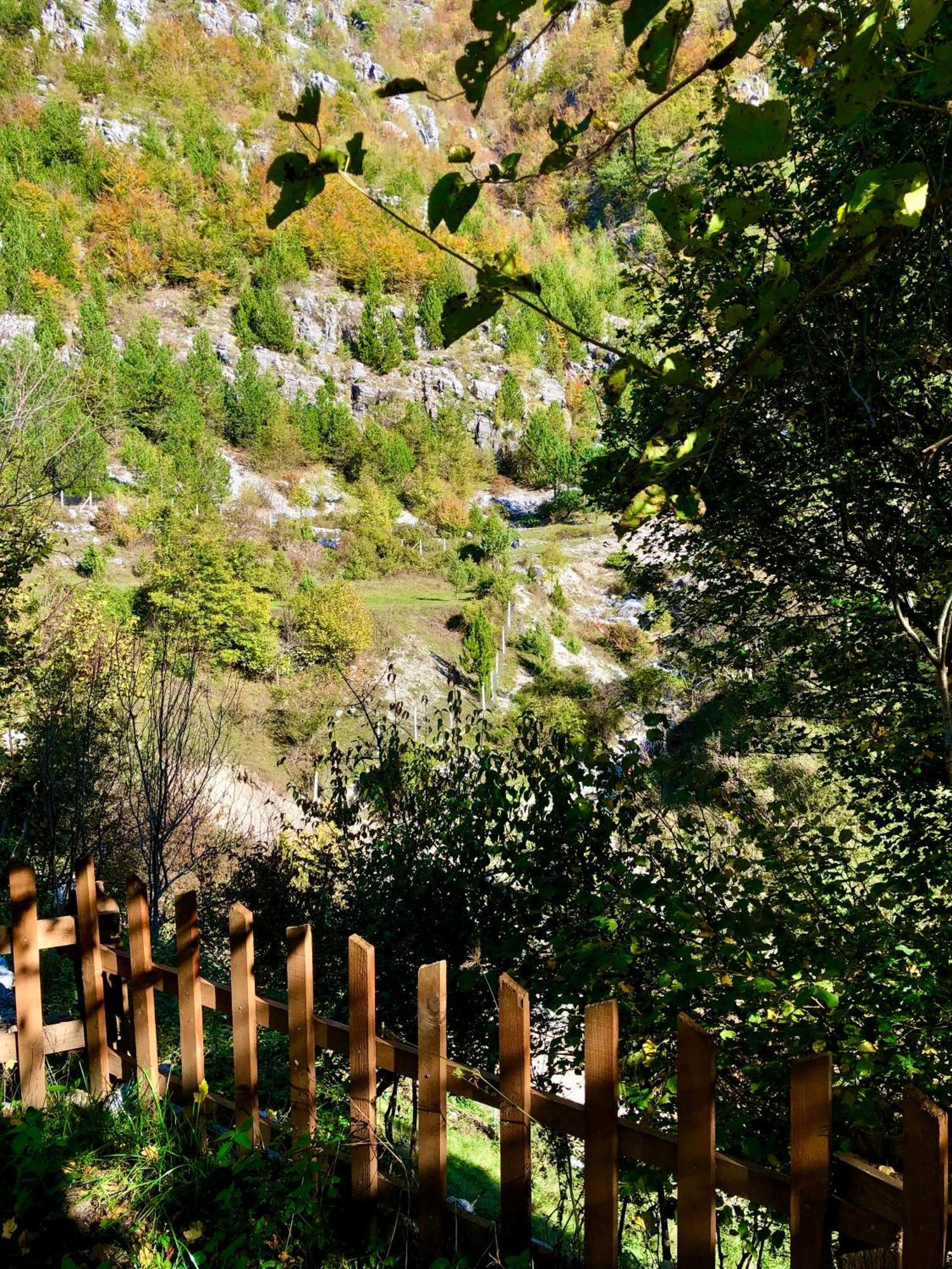 Bujtina Pllumi Theth Bed & Breakfast エクステリア 写真